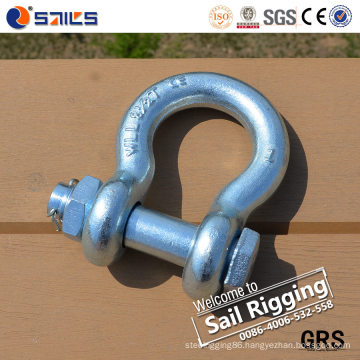 Drop Forged High Tensile Screw Pin/Safety G-209/G-2130 Anchor Shackle